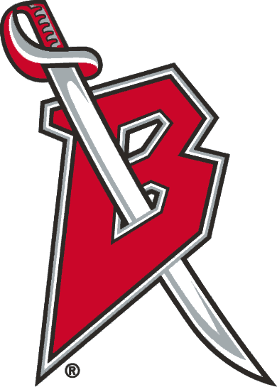 Buffalo Sabres 1999 00-2005 06 Alternate Logo 02 cricut iron on